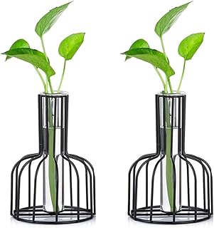 Vase à fleurs noires pour plantes de propagation en verre, cadre métallique, tube