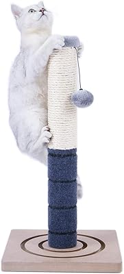 Jouets interactifs à gratter pour chat paws road - comprend un poteau supplémentaire