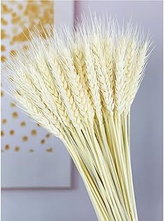 Tiges de fleurs de blé séchées homarket, 100 tiges de plantes de blé