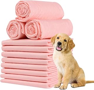 Coussins de dressage jetables oak by now pour chiens chiots chats
