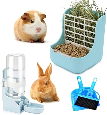 Ensemble de bouteilles d'eau d'alimentation pour lapin et cochon d'inde, bouteille d'eau