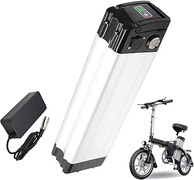 Batterie de vélo électrique 36v 48v batterie lithium-ion pour électrique 10ah