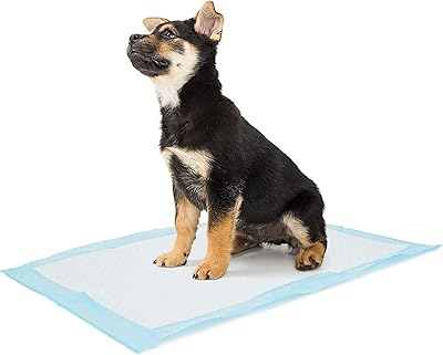 Coussins absorbants momo bear pour l'apprentissage de la propreté des chiots, base antidérapante