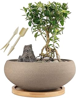 Pot à bonsaï rond en céramique non émaillé muzi avec plateau en bambou