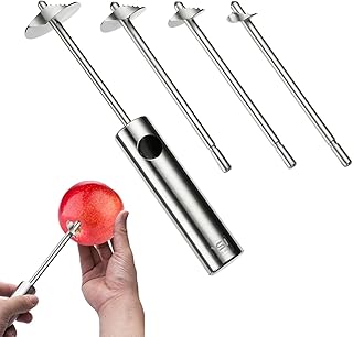 Outil de retrait de noyau en acier inoxydable - outil de retrait
