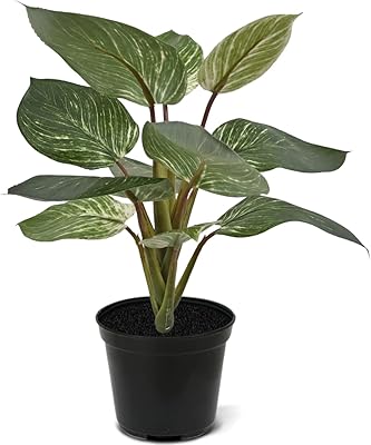 Bloom post plante artificielle philodendron birkin de 30 cm décorative parfaite pour la décoration