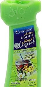 Nettoyant multi-usages loyal, parfum général concentré, nettoyant pour sols, odeur de fleurs printanières, couleur verte, de hy store. Diaytar : Votre partenaire e-commerce au quotidien