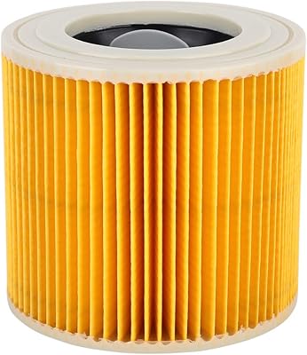 Filtres d'aspirateur, filtre d'aspirateur sec et humide de 4,8 x 4,8 x 4,45