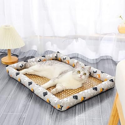 Tapis rafraîchissant pour chien design coussin de glace d'été pour chats et petits