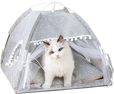 Lit pour chat avec coussin amovible et lavable, tente pour chat toutes saisons