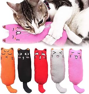 Skido 5 pièces jouet à l'herbe à chat, jouet à mâcher anti-morsure