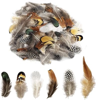 180 pièces javest plumes de faisan naturelles faites à la main, série de décoration de plumes de queue, 6 styles. Diaytar Sénégal : Des milliers de produits à portée de clic, livrés chez vous