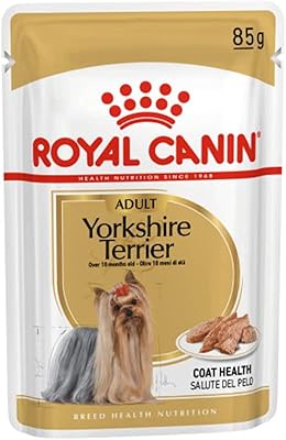 Royal canin bhn yorkshire adulte sachets de nourriture humide paquet de 12 x