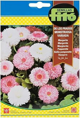 Graines de fleurs phyto bellis \"mélange bombonette\" de semillas