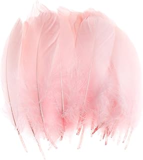 100 pièces de plumes d'oie naturelles pour la décoration - plumes de couleurs