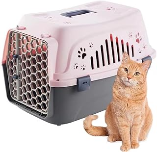 Cage de transport pour animaux de compagnie approuvée par la compagnie aérienne team