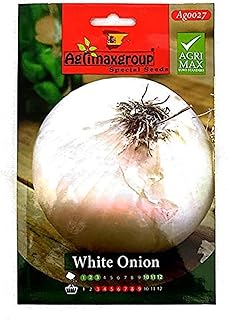 Graines d'oignon blanc (fabriquées en espagne) par agrimaxgroup®