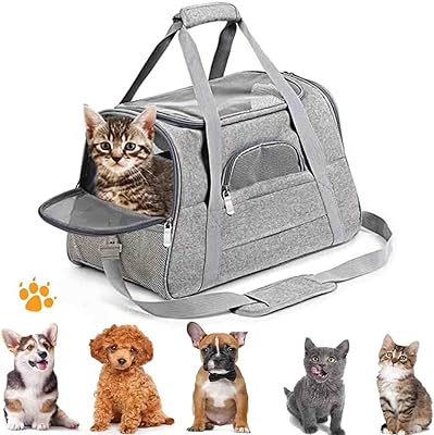 Cage de transport pour animaux de compagnie ali approuvée par les compagnies aériennes