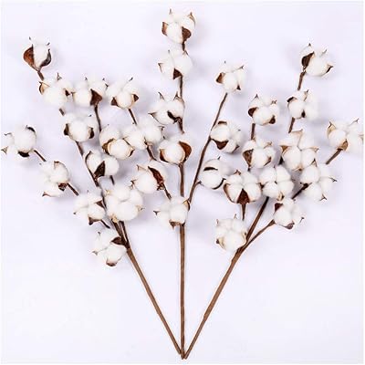 Tiges de coton roulantes 20" de haut (3 tiges-paquet) fleurs ferme blanches