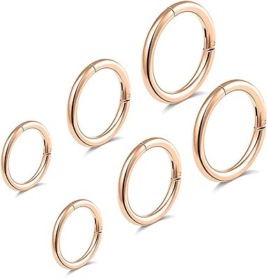 6pcs g23 anneaux de nez en titane 16g diamètre 6mm/8mm/10mm anneaux de nez