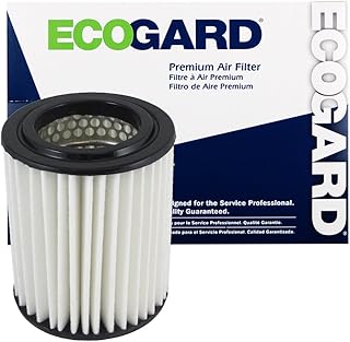 Filtre à air moteur ecoguard premium "is_best_seller":false"image_url":"https: m.media-amazon.com images i 61r83jzgahl._ac_ul320_.jpg