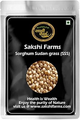 Sakshi farms | herbe de sorgho soudanais (sss) herbe douce pour le semis