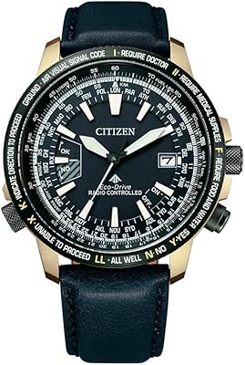 Montre eco-drive à énergie solaire et radio citizen promaster sky pour hommes