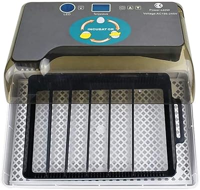 Incubateur de 12 œufs de petite taille avec écran en l, couveuse