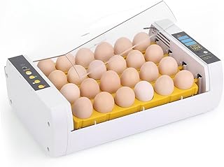 Incubateur d'œufs automatique intelligent tom shine, contrôle de la température de 24 œufs