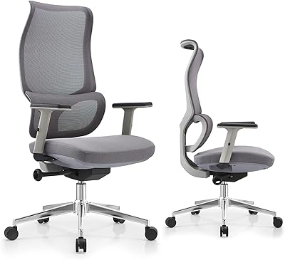 Chaise de bureau avec soutien lombaire à hauteur réglable, chaise de bureau d'ordinateur