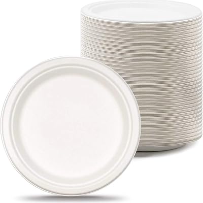 Assiette en bagasse jetable biodégradable écologique de 10 pouces, fabriquée à partir d'assiettes
