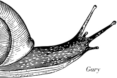 Cahier : gary the snail par gab - 5 x 8 pouces