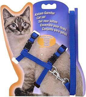 Collier, harnais et harnais de poitrine en nylon mambo bear pour chats