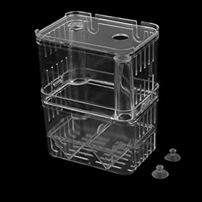 Incubateur d'élevage de poissons b&k, boîte d'éclosion flottante pour aquarium et aquarium séparé. Le meilleur du e-commerce discount réuni sur Diaytar