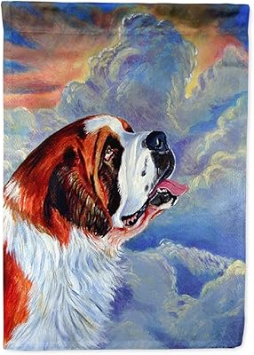 Caroline's treasures 7085chf toile drapeau saint-bernard taille maison grand multicolore
