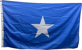 Drapeau tempête drapeaux du zimbabwe 3x5 pieds (90 cm x 150 cm) 90 g polyester double couture. Diaytar : Des prix mini pour un service maxi