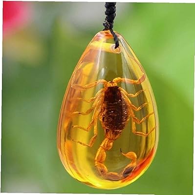 Collier pendentif scorpion en pierre d'ambre baltique naturelle pour la décoration de la maison,