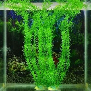 Plantes d'aquarium artificielles en plastique, plantes de décoration d'aquarium sans danger pour tous