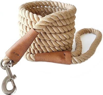 Laisse pour chien en corde robuste de 10 pieds prise