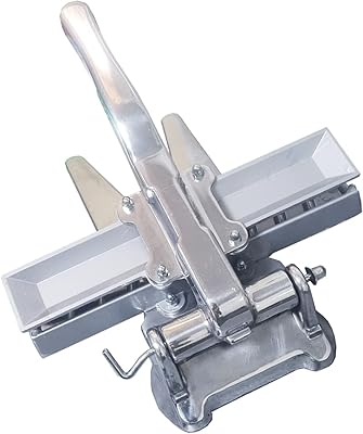 Machine à brochettes de viande multifonctionnelle pour barbecue