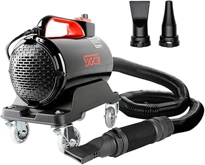 Souffleur d'air de voiture sgcb pro, sécheur d'air de 5,0 hp, sécheur d'air