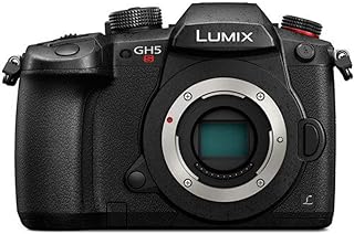 Appareils photo sans miroir panasonic, 10,28, autre zoom optique et écran 3,2