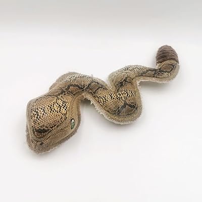Nutrapet le serpent rampant