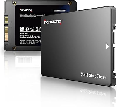 Ssd interne fanxiang s101 256 go sata iii 6 gb-s 25" vitesse