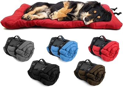 Lit portable pour chien et chat, coussin lavable, tapis pliable en tissu oxford