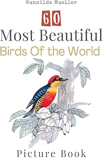 Livre d'images des 60 plus beaux oiseaux du monde : 60 photos d'oiseaux