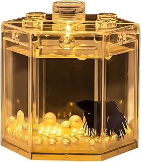 Mini aquarium betta newstyle mini transparent empilable petite mangeoire à fourmis