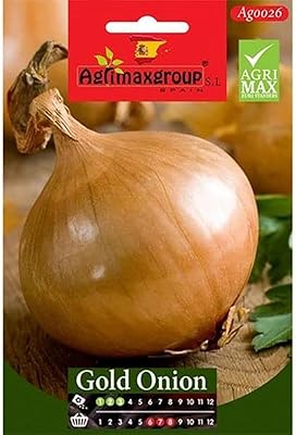Graines d'oignon doré de haute qualité d'agrimaxgroup® \"garden care\"