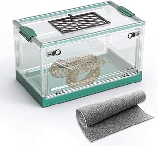 Grandes cages d'habitat pour serpent reptile amphibien lézard gecko grenouille hamster ermite