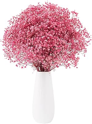 Juso bouquet de fleurs de gypsophile séchées naturelles taille 70 cm, beaux bouquets
